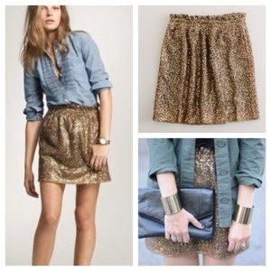 J Crew pleated Skirt - Size 6